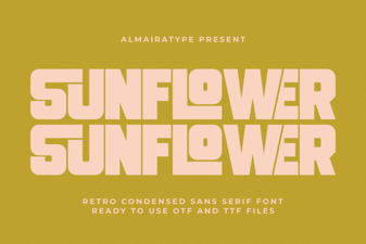 Bring Your Designs to Life with Sunflower Font