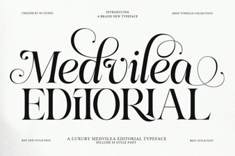 Medvilea: Editorial Font Tips & Project Ideas
